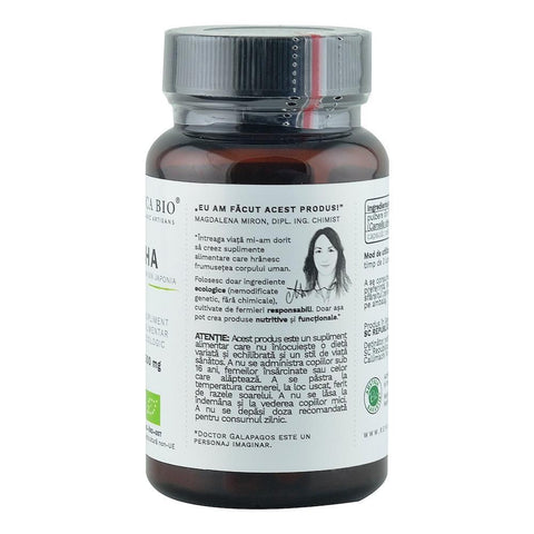 Matcha Ecologic din Japonia (500 mg) Republica BIO, 60 capsule (35 g)