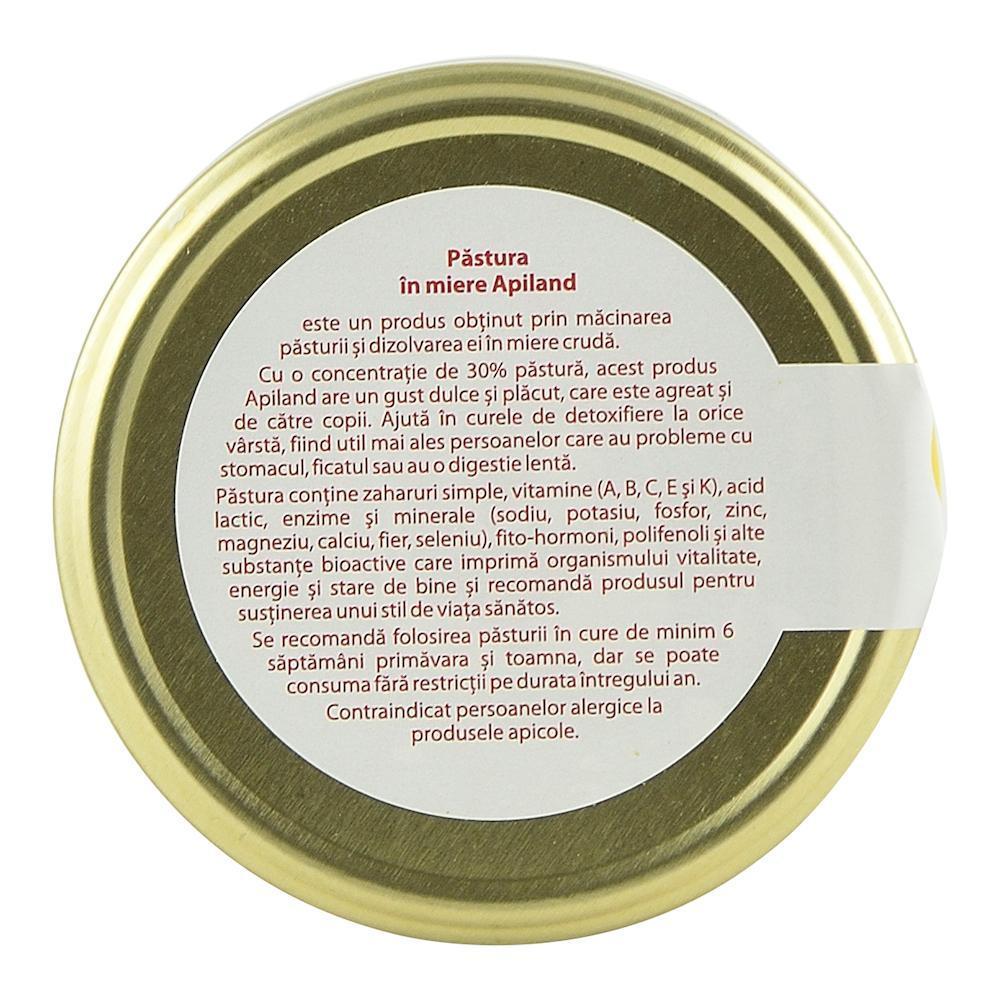 Pastura in Miere Apiland, 500g, naturala