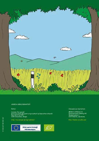 Aventurile Juliei şi ale lui Steven - eBook